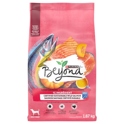 Beyond Dry Dog Food Wild Caught Salmon Egg & Pumpkin Recipe 1.67 kg