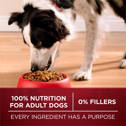 Purina ONE True Instinct Dry Dog Food Salmon & Tuna 12.4 kg