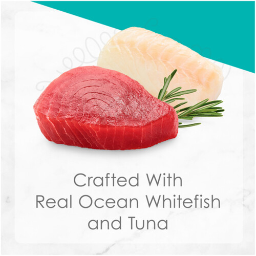 Fancy Feast Petites Wet Cat Food Pate Ocean Whitefish & Tuna Entrée 79.4 g