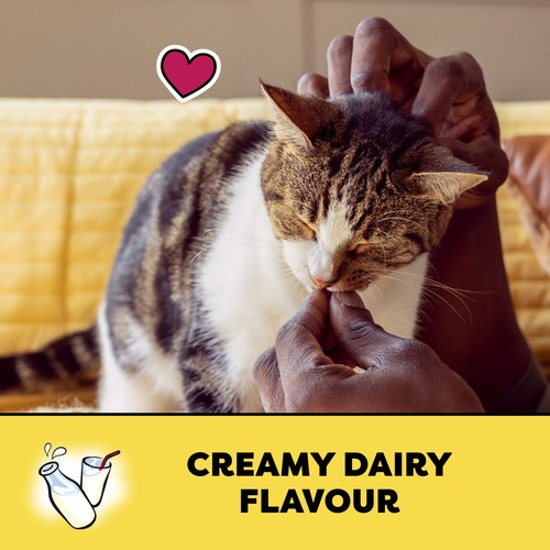 Temptations Adult Cat Treats Creamy Dairy Flavour 180 g