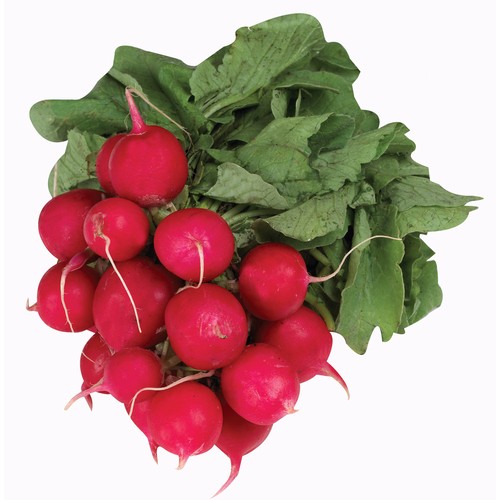 Organic Radish 1 Bunch 