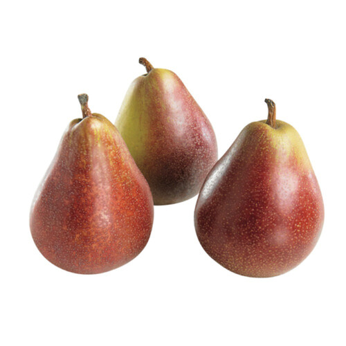 Seckel Pears