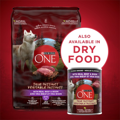 Purina ONE Wet Dog Food Tender Cuts in Gravy Variety Pack 6 x 368 g