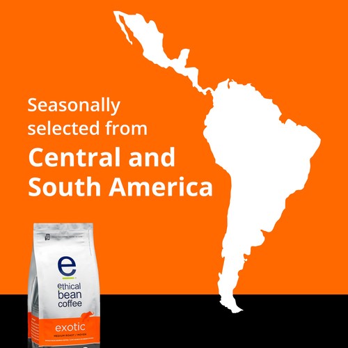 Ethical Bean Whole Bean Coffee Medium Roast Exotic 340 g