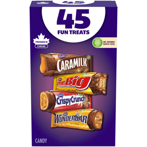 Candy Bars Assorted Chocolate Candy 45 Bars 501 g