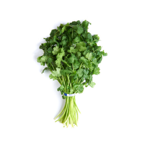 Organic Cilantro 1 Bunch