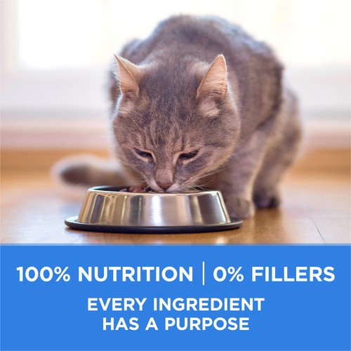 Purina ONE +Plus Dry Cat Food Urinary Tract Formula Chicken 1.8 kg