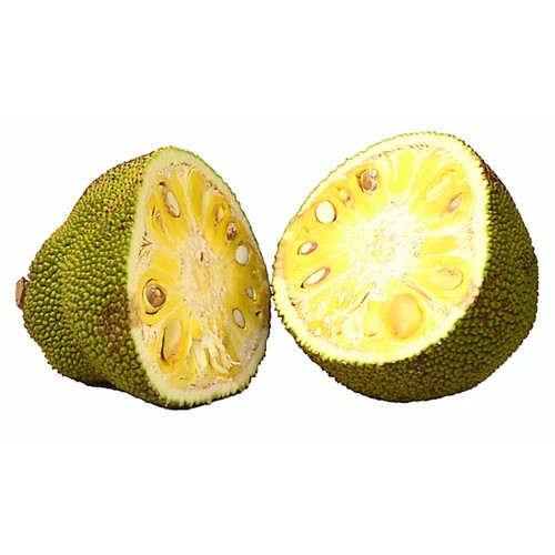 Jackfruit 540 g