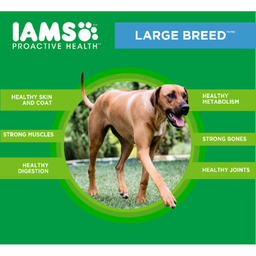 IAMS Adult Large Breed Dry Dog Food Chicken & Whole Grains 6.8 kg