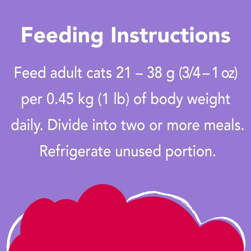 Friskies Wet Cat Food  Prime Filets Turkey Dinner in Gravy 156 g