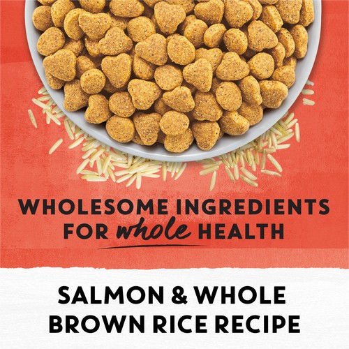 Beyond Simply Dry Cat Food Salmon & Whole Brown Rice Recipe 1.36 kg