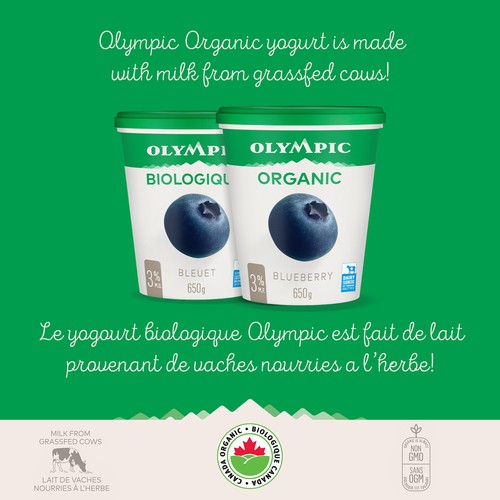 Olympic Organic 3% Yogurt Blueberry 650 g