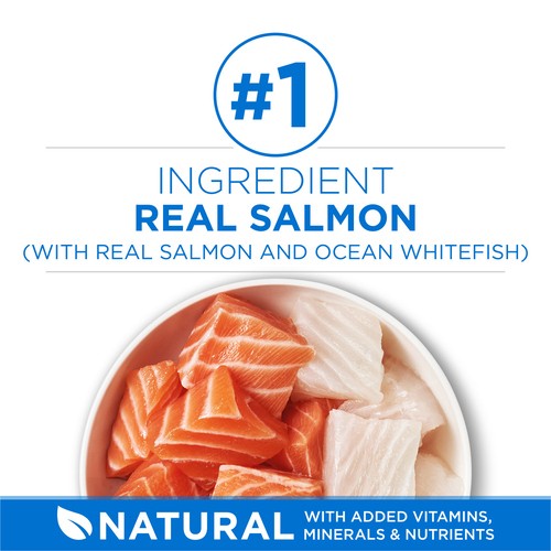 Purina One +Plus Dry Cat Food High Protein Salmon & Ocean Whitefish 1.8 kg