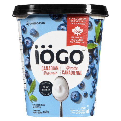 Iögo Canadian Harvest 3.2% Yogurt Blueberries 650 g