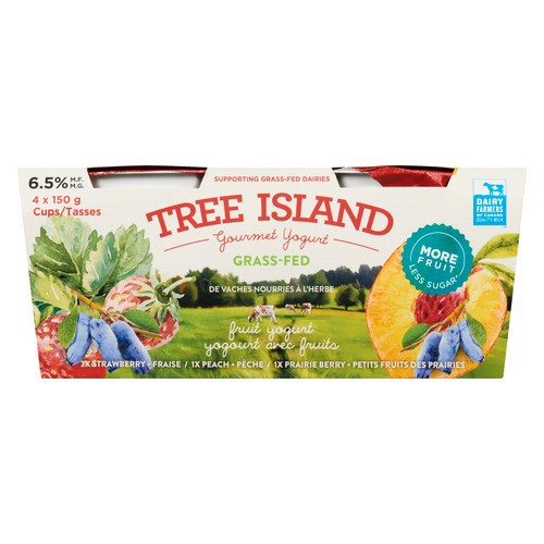 Tree Island Gourmet Yogurt 6.5% Yogurt Fruit 4 x 150 ml