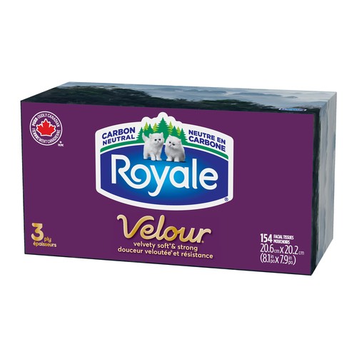 Royale Facial Tissues Velour 3-ply 1 Family Box