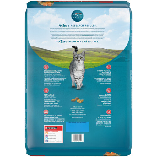 Purina ONE Dry Cat Food Salmon & Rice 7.2 kg