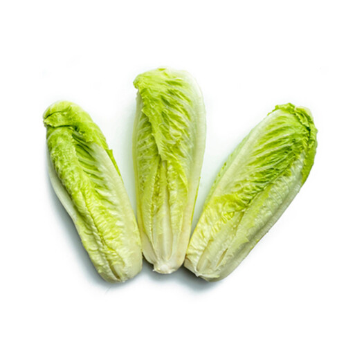 Organic Romaine Hearts 3 Count