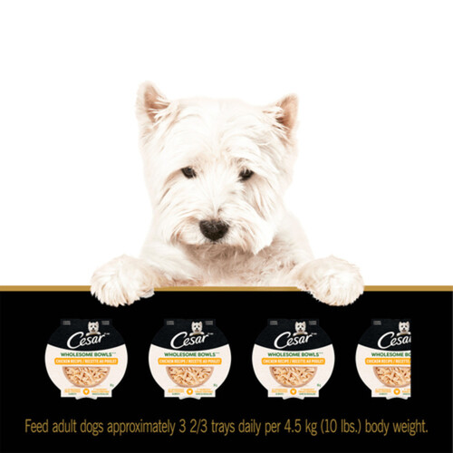 Cesar Adult Wet Dog Food Wholesome Bowls Chicken 85 g