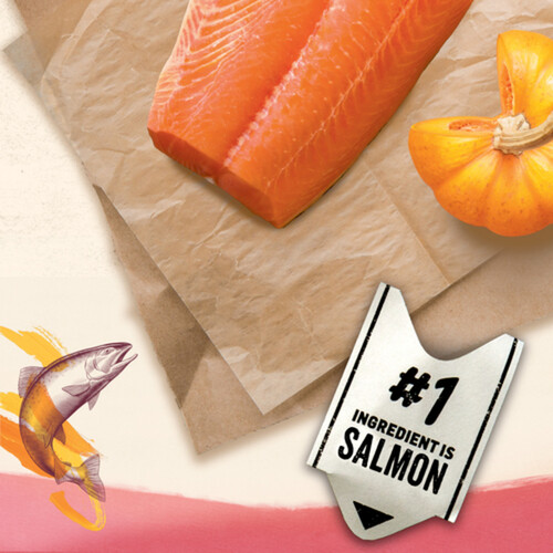 Beyond Dry Dog Food Superfood Blend Wild Caught Salmon Egg & Pumpkin 1.67 kg