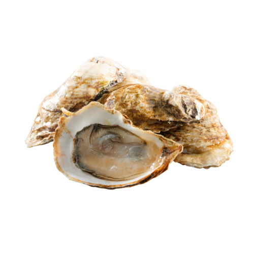 Fresh Oysters Premium Choice 6 ct 