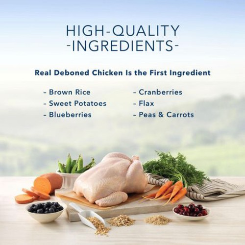 Blue Buffalo Dry Cat Food Indoor Adult Chicken & Brown Rice 4.5 kg