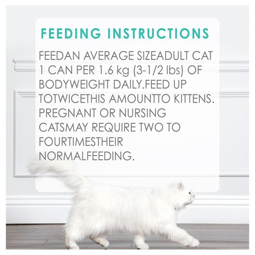 Fancy Feast Wet Cat Food Pâté Seafood Feast 85 g