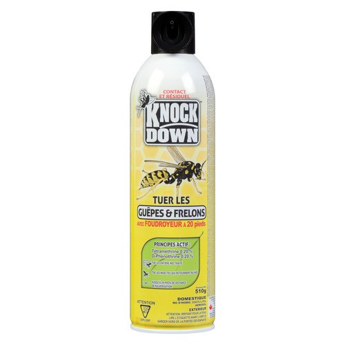 Knock Down Killer Blaster Spray Hornet & Wasp 325 g
