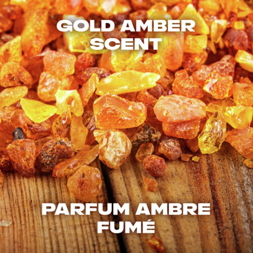 Axe Deodorant Bodyspray Gold Temptation Gold Amber 113 g