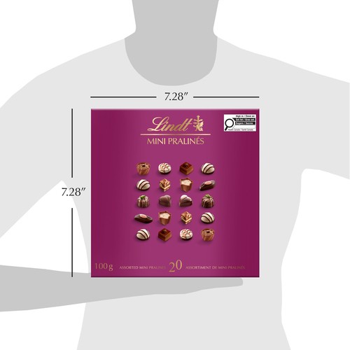 Lindt Chocolate Box Mini Praline Assorted 100 g