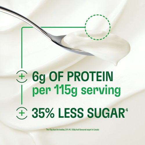 Activia Expert Yogurt Pre & Probiotics Blueberry 4 x 100 g
