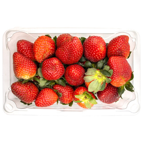 Organic Strawberries 454 g