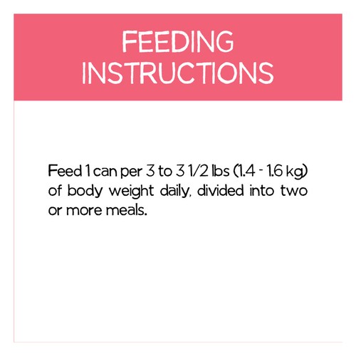 Beneful Incredibites Wet Dog Food Real Salmon In Gravy 85 g