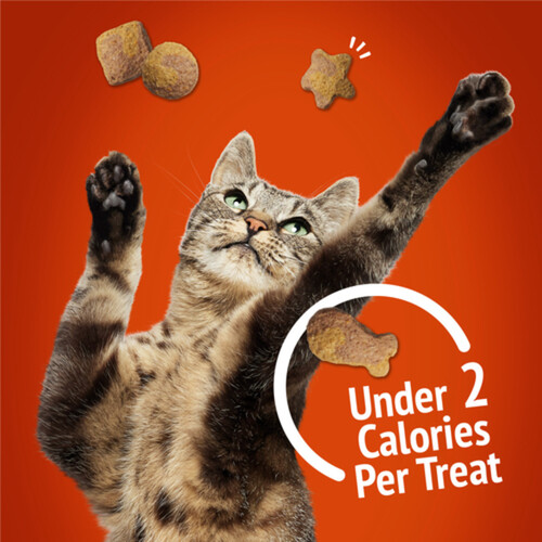Friskies Cat Treats Party Mix Gravy-Licious Crunch Chicken And Gravy 170 g