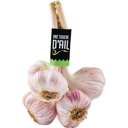 Garlic Bouquet From Quebec 