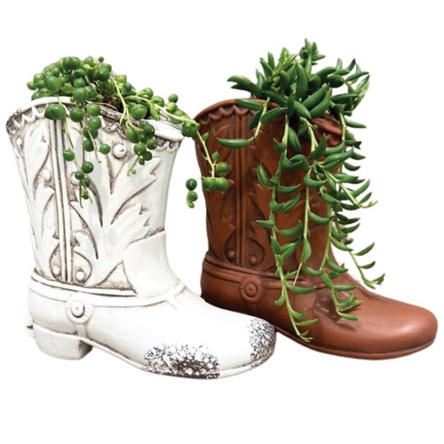 Succulents Plant Cowboy Boot 2-Inch 1 Count
