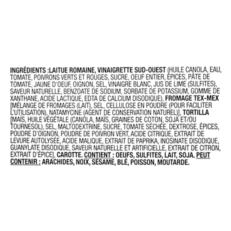 Fresh Attitude Salad Family Kit Southwest 402 g Voilà Online