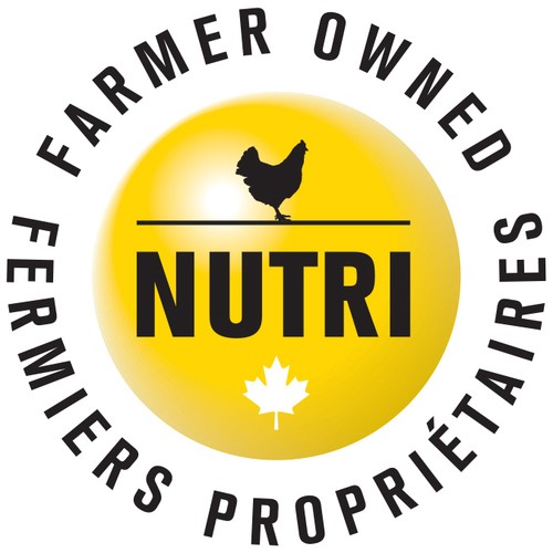 Nutri Select White Eggs Grade A Large 12 Count