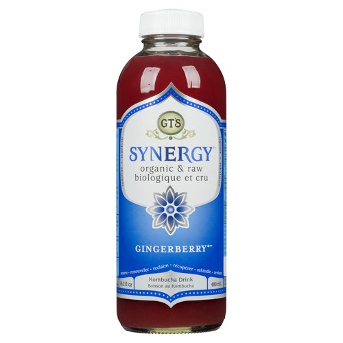 GT's Kombucha Organic Ginger Berry 480 ml