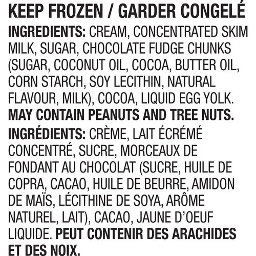 Häagen-Dazs Chocolate Ice Cream Chocolate Chunk 500 ml