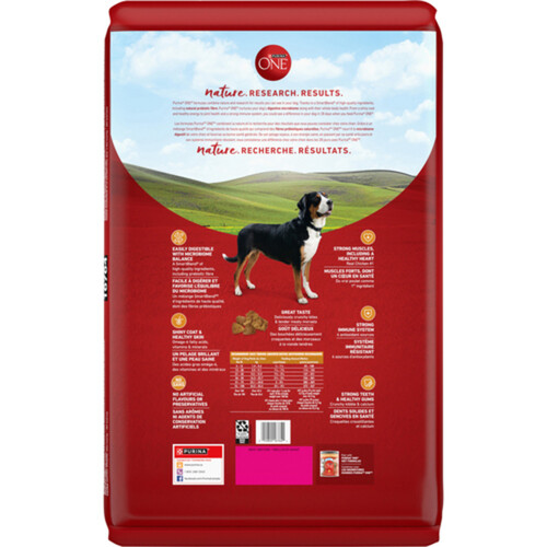 Purina ONE Microbiome Balance Dry Dog Food Chicken & Rice Formula