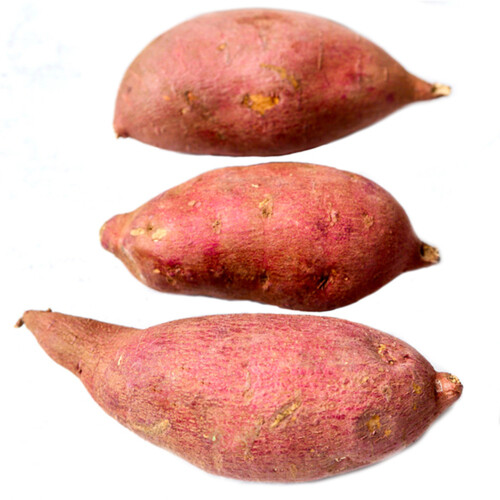 Japanese Yams Fingerlings 3 Count