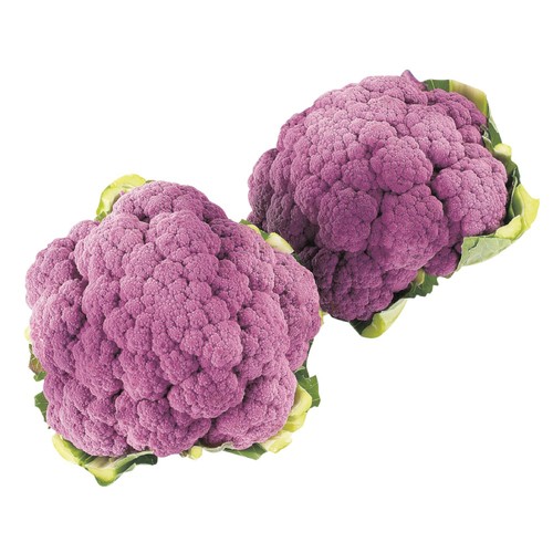 Purple Cauliflower