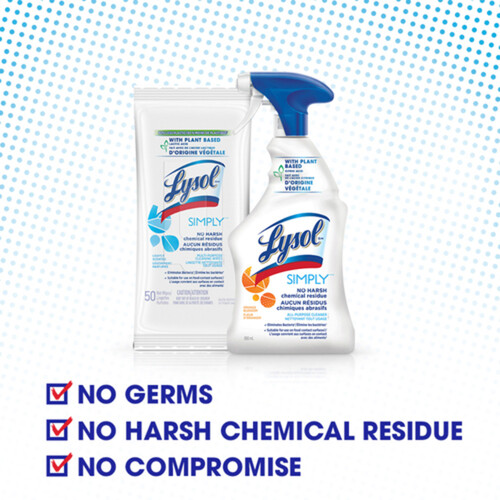 Lysol Disinfectant Wipes Herbal Tea Scent 50 Sheets