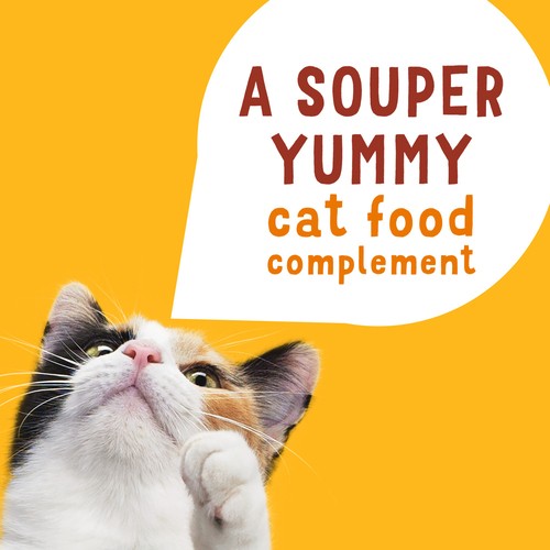 Friskies Lil' Soups Cat Food In Velvety Broth Chicken and Butternut 34 g