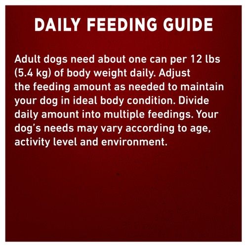Purina ONE Wet Dog Food True Instinct Classic Ground Turkey & Venison 368 g