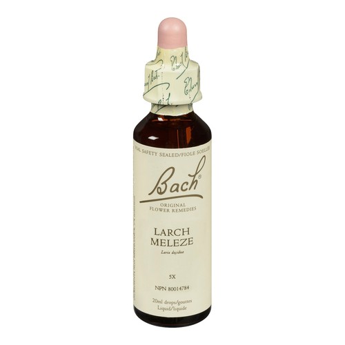 Bach Essence Flower Remedy  Larch 20 ml