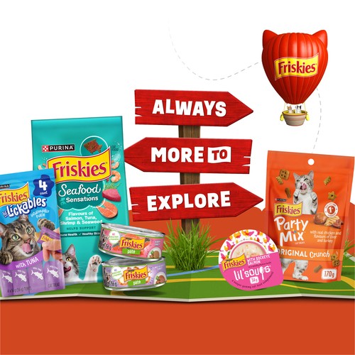 Friskies Lil' Soups Wet Cat Food Greatest Hits Variety Pack 18 x 34 g