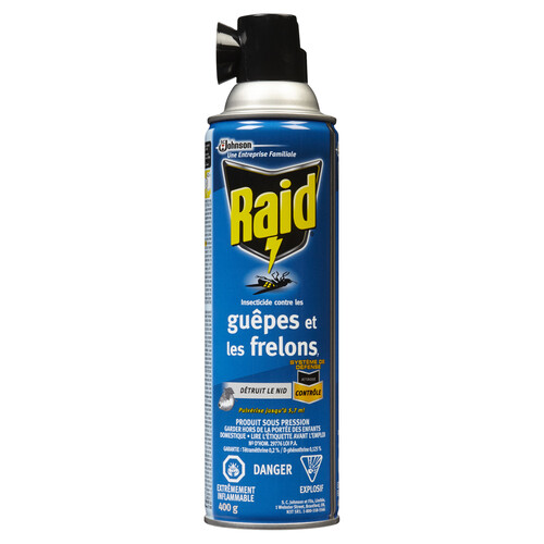 Raid Insect Killer Spray Wasp And Hornet 400 g