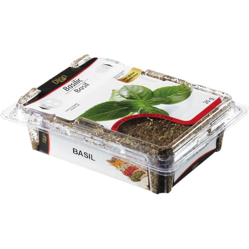 Les Aliments G. Dion Foods Gluten-Free Basil 26 g